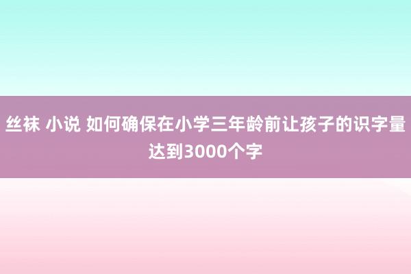 丝袜 小说 如何确保在小学三年龄前让孩子的识字量达到3000个字