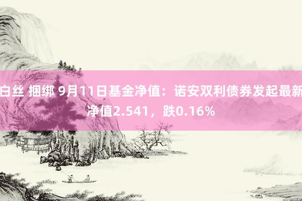 白丝 捆绑 9月11日基金净值：诺安双利债券发起最新净值2.541，跌0.16%