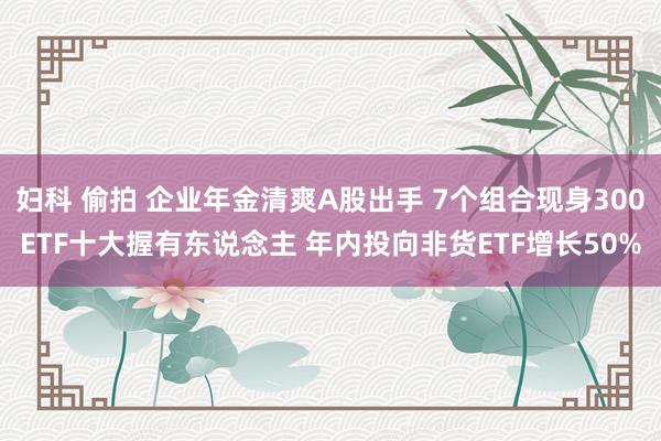 妇科 偷拍 企业年金清爽A股出手 7个组合现身300ETF十大握有东说念主 年内投向非货ETF增长50%