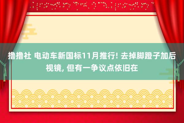 撸撸社 电动车新国标11月推行! 去掉脚蹬子加后视镜， 但有一争议点依旧在