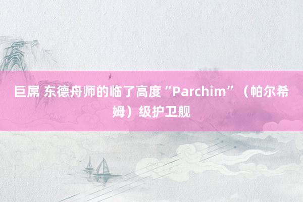 巨屌 东德舟师的临了高度“Parchim”（帕尔希姆）级护卫舰