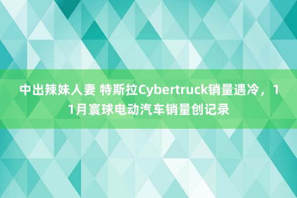 中出辣妹人妻 特斯拉Cybertruck销量遇冷，11月寰球电动汽车销量创记录