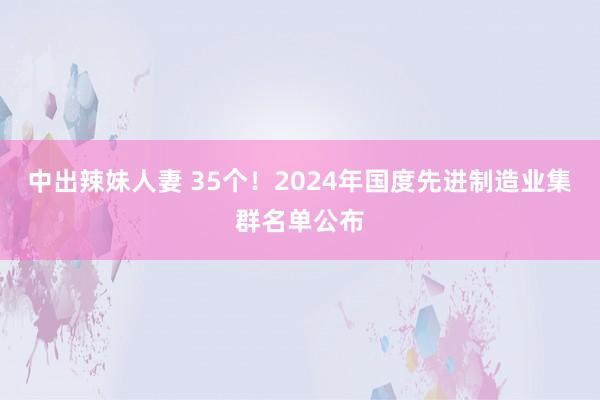 中出辣妹人妻 35个！2024年国度先进制造业集群名单公布