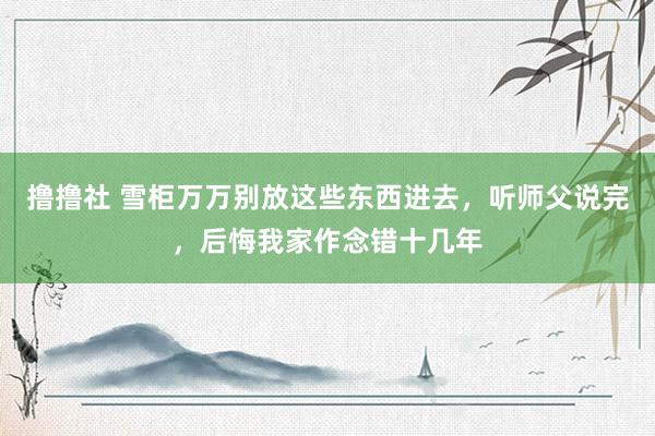 撸撸社 雪柜万万别放这些东西进去，听师父说完，后悔我家作念错