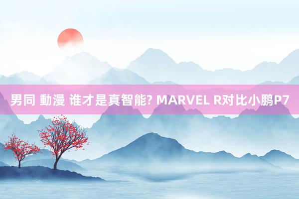 男同 動漫 谁才是真智能? MARVEL R对比小鹏P7