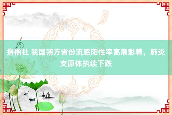 撸撸社 我国朔方省份流感阳性率高潮彰着，肺炎支原体执续下跌