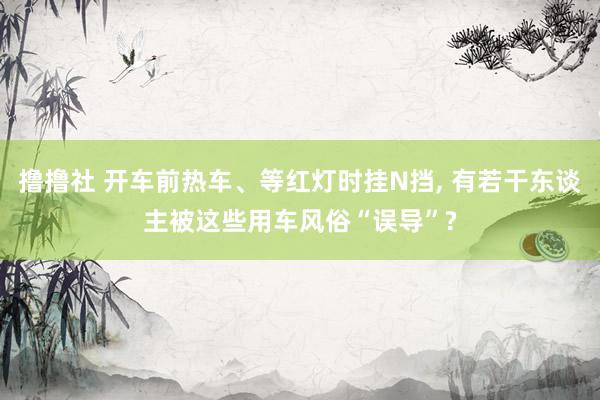 撸撸社 开车前热车、等红灯时挂N挡， 有若干东谈主被这些用车风俗“误导”?