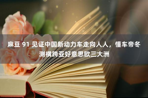 麻豆 91 见证中国新动力车走向人人，懂车帝冬测横跨亚好意思欧三大洲