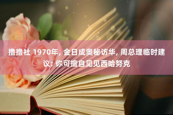 撸撸社 1970年， 金日成奥秘访华， 周总理临时建议: 你可擅自见见西哈努克