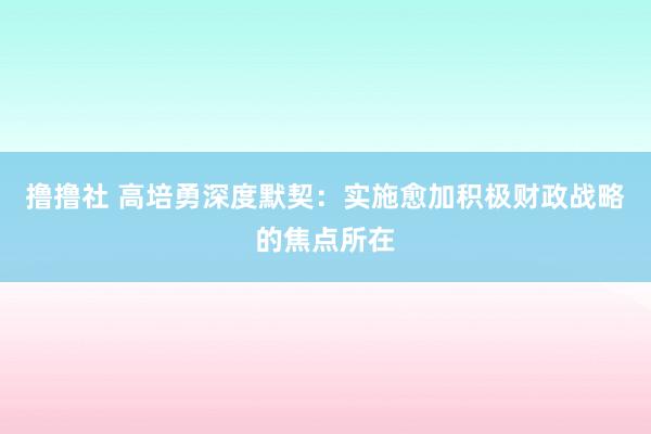 撸撸社 高培勇深度默契：实施愈加积极财政战略的焦点所在