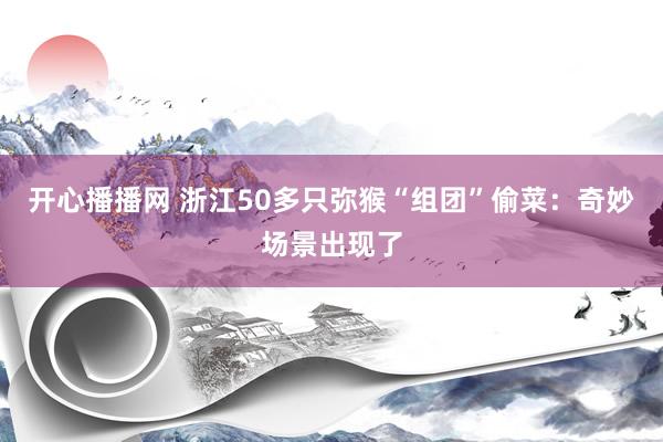 开心播播网 浙江50多只弥猴“组团”偷菜：奇妙场景出现了