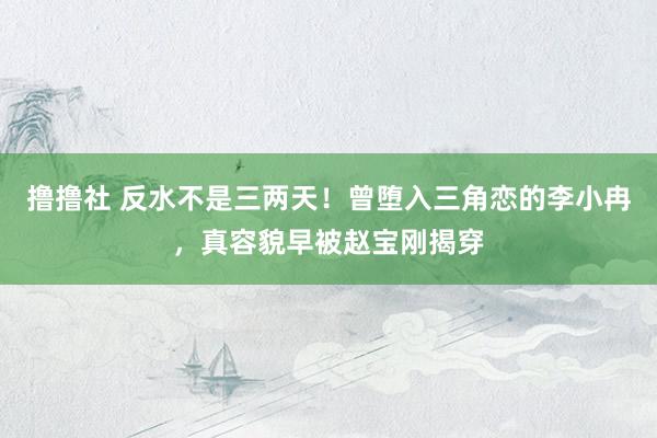 撸撸社 反水不是三两天！曾堕入三角恋的李小冉，真容貌早被赵宝